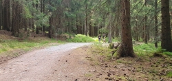 2025-07-05_16-26-38 - SVA Tischtennis - Oberhof Wanderung